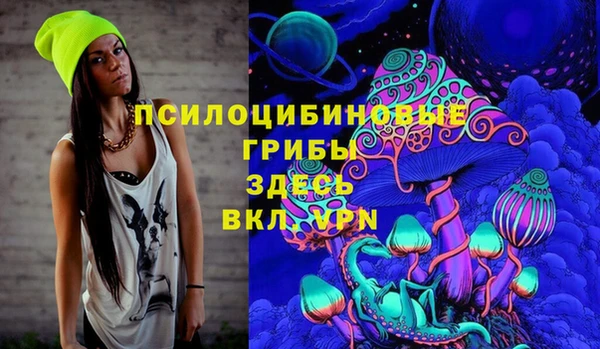 PSILOCYBIN Снежинск